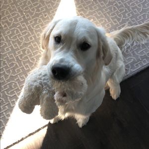 Meet your Posher, Jack